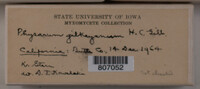 Image Associated With the Occurence
